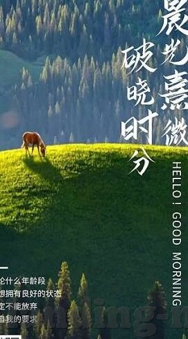 足球直播比分直播app-足球狂热者的必备神器,足球直播比分直播App深度解析